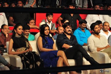 Sarrainodu Movie Blockbuster Function